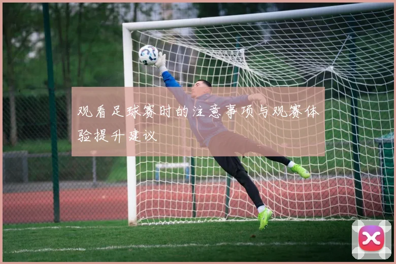 观看足球赛时的注意事项与观赛体验提升建议