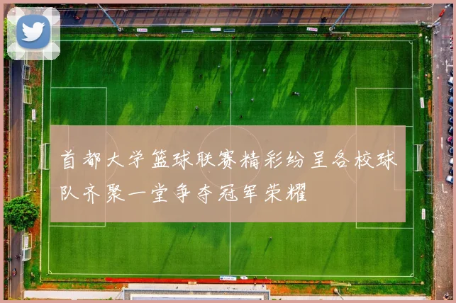 首都大学篮球联赛精彩纷呈各校球队齐聚一堂争夺冠军荣耀