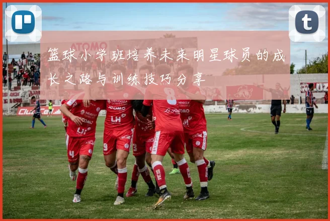 篮球小学班培养未来明星球员的成长之路与训练技巧分享