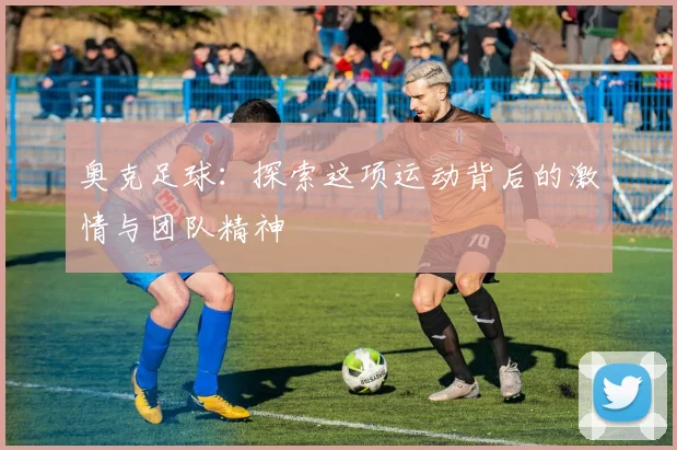 奥克足球：探索这项运动背后的激情与团队精神