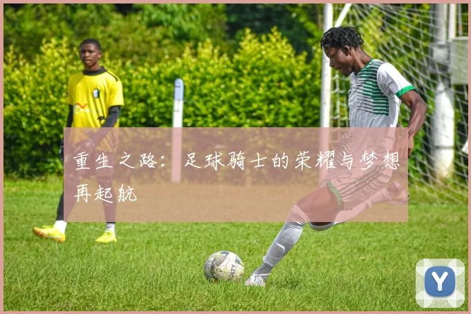重生之路：足球骑士的荣耀与梦想再起航